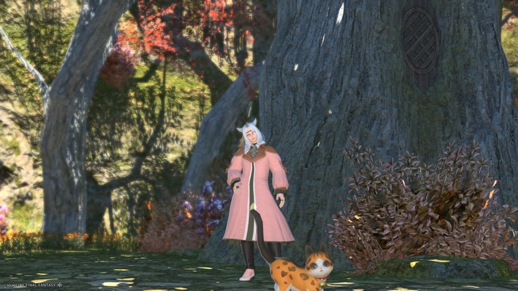 Be Nice to Newbies: My FFXIV&nbsp;Experience